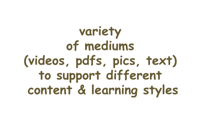 variety of mediums videos pdfs pics text to support different content learning styles